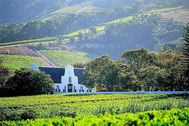 Cape Town Winelands Private Full-Day Tasting Tour — Stellenbosch, Paarl & Franschhoek photo 3