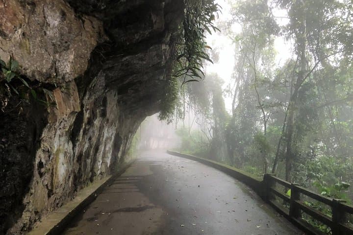 Jeep Tour to Tijuca Forest: Vista Chinesa & Atlantic Forest Wildlife photo 2