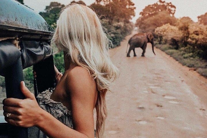 Minneriya National Park Jeep Safari from Negombo — See Asia's Largest Elephant Gathering photo 1