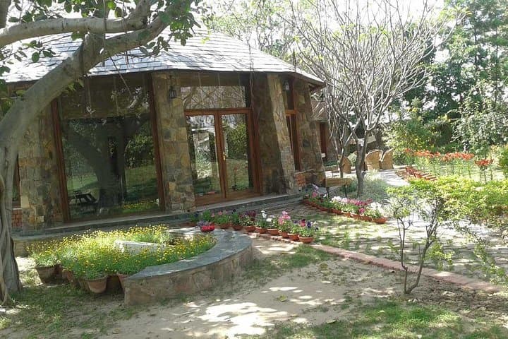 Full-Day Gnostic Center Retreat Near Delhi: Yoga, Meditation & Stud Farm Visit photo 2