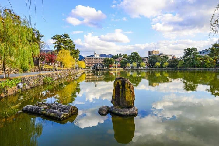 Private Osaka to Nara Day Trip: Personalized Nara Walking Tour photo 2
