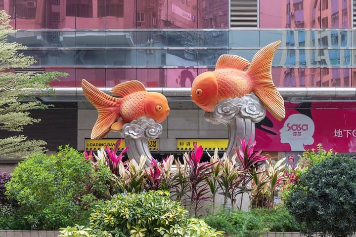 Private Hong Kong Street Art Tour with Local Guide — Personalized Urban Mural Walk photo 3