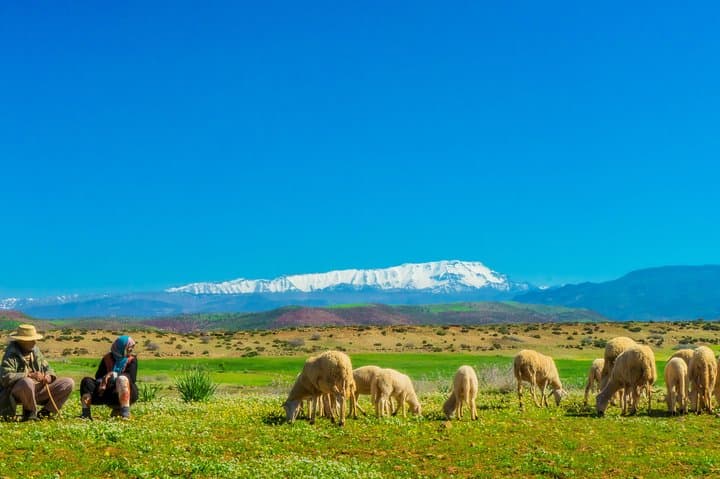 Berber Life Experience in the Atlas Mountains: Imlil Village Walk from Marrakech photo 4