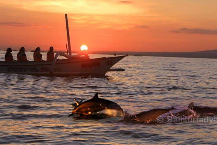 Lovina Dolphin Watching & Banyumala Waterfall Day Tour — Twin Lakes and Ulun Danu photo 2