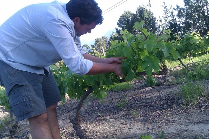 Stellenbosch Small-Group Wine Tour from Cape Town — Helshoogte & Boutique Estates photo 3