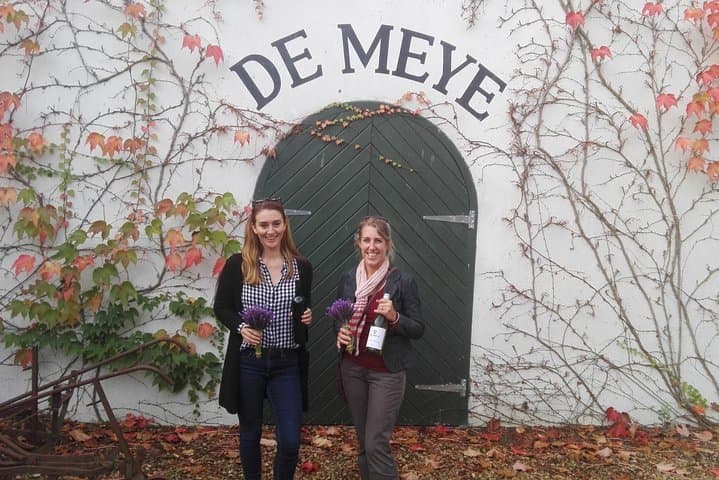Daily Different Small-Group Wine Tour from Stellenbosch — Boutique Estates & Tastings photo 6