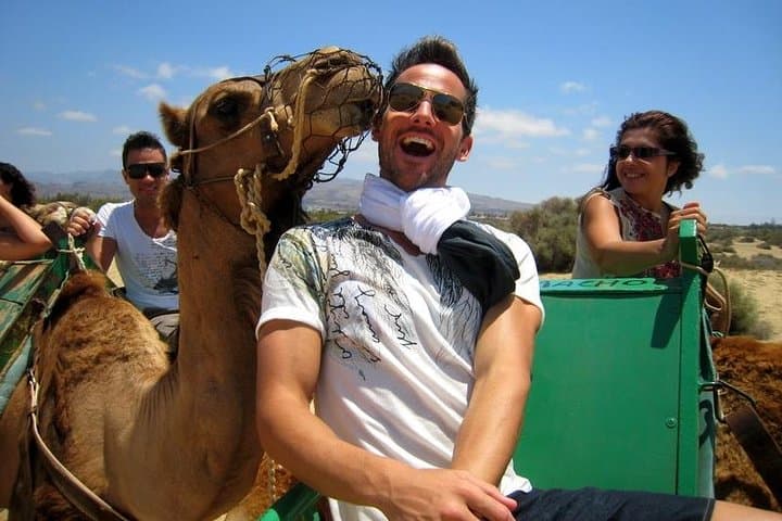 Camel Rides Across the Maspalomas Dunes: 30-Minute Camel Trek in Gran Canaria photo 3