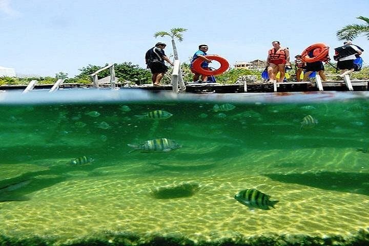 Mayan Adventure from Cancun: Snorkel Reefs, Jungle Rivers & Cenote Swim photo 5