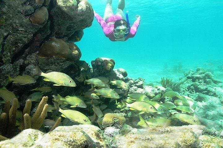 Mayan Adventure from Cancun: Snorkel Reefs, Jungle Rivers & Cenote Swim photo 4