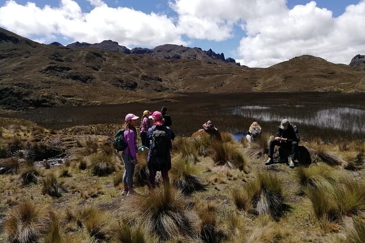 Cajas National Park Day Hike from Cuenca: High-Andean Lakes, Polylepis Forests & Paramo Trails photo 5