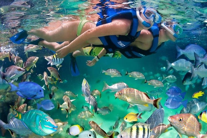 Xel-Ha All-Inclusive Day Pass: Snorkel the River, Cenotes & Jungle Trails photo 3