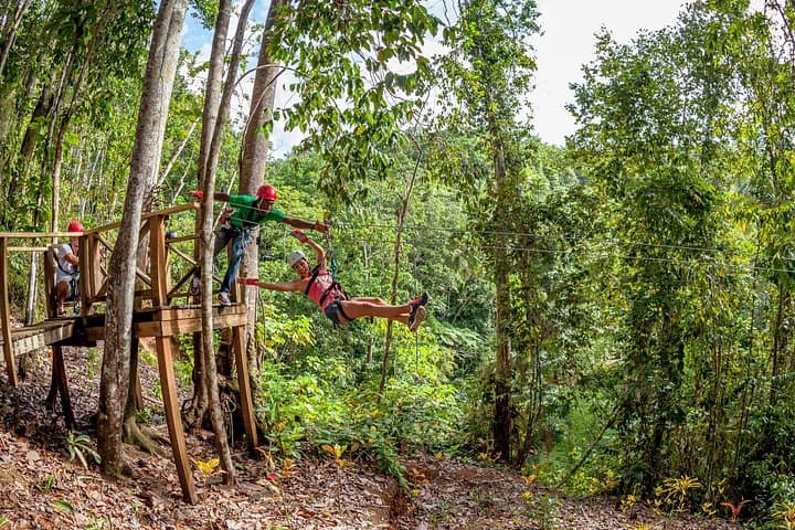 Treetop Zipline Adventure from Castries — 12 Ziplines Through St. Lucia Rainforest photo 3