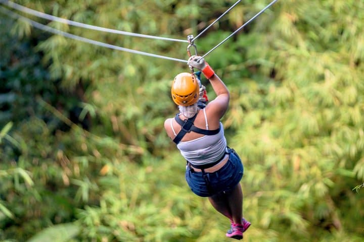 Treetop Zipline Adventure from Castries — 12 Ziplines Through St. Lucia Rainforest photo 4