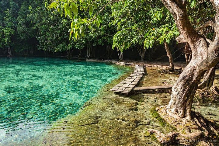 Krabi Full-Day: Emerald Pool, Tiger Cave Temple & Wareerak Hot Spring Spa photo 3