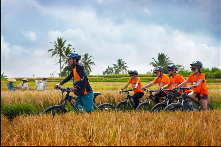 Cycling the Rice Fields of Ubud & Tegenungan Waterfall — Day Trip from Ubud photo 2
