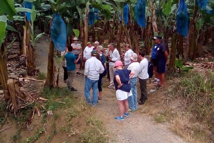 Cahuita National Park and Banana Plantation Shore Excursion from Puerto Limón photo 3