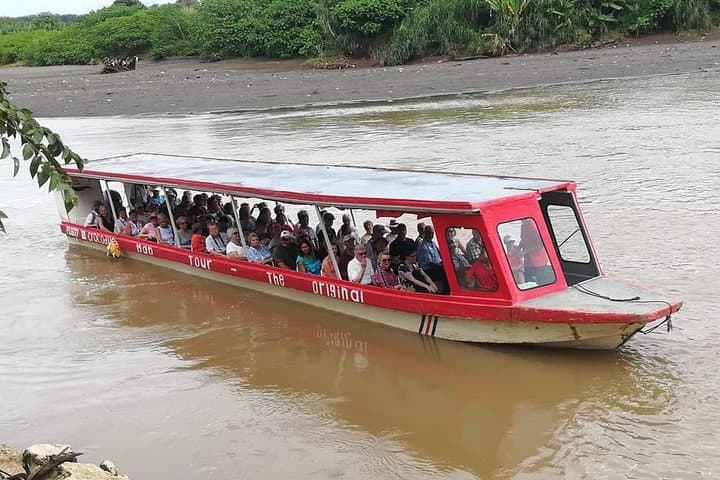 Tarcoles Buggy & Crocodile Safari: Jungle ATVs and River Boat Tour from Puntarenas photo 5