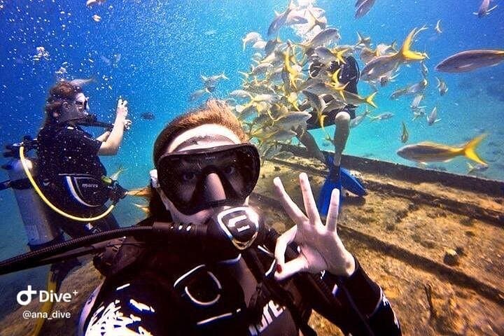 PADI / SSI Open Water Certification in St. Thomas — Learn to Scuba Reefs & Wrecks photo 4