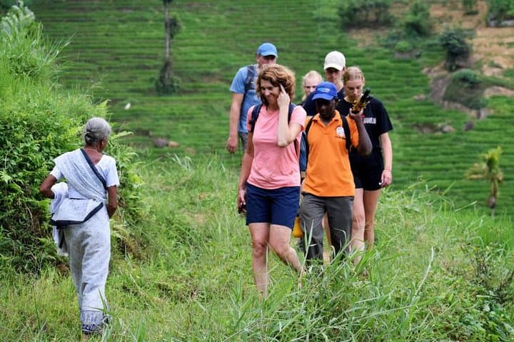 Heeloya Village Hike via Rangala: Half-Day Cultural Trek from Kandy