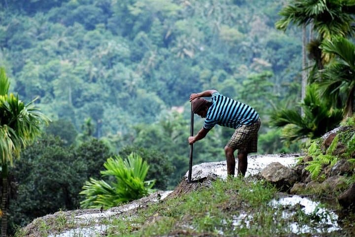 Heeloya Village Hike via Rangala: Half-Day Cultural Trek from Kandy photo 2