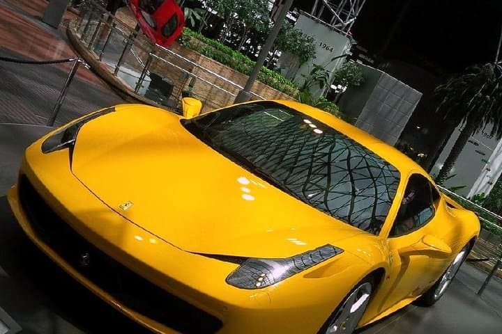 Abu Dhabi Private Tour: Sheikh Zayed, Emirates Palace & Ferrari World Day Trip photo 3
