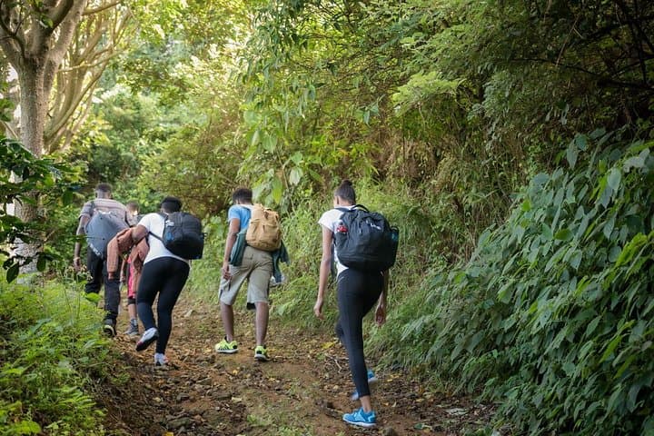 Blue Mountain Peak Sunrise Hike: Overnight Trek from Kingston to Jamaica's Highest Point