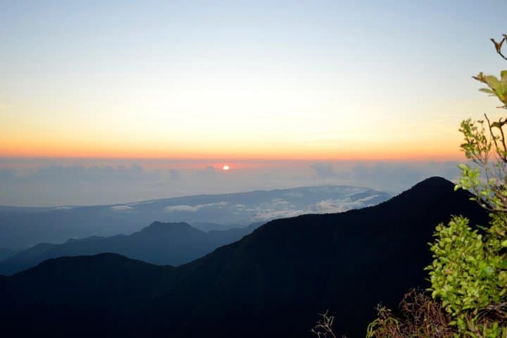 Blue Mountain Peak Sunrise Hike: Overnight Trek from Kingston to Jamaica's Highest Point photo 5
