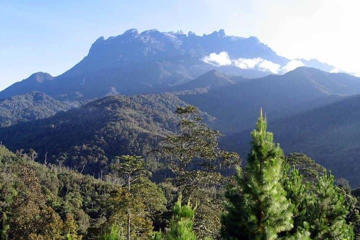 Day Trip to Kinabalu Park & Poring Hot Springs from Kota Kinabalu photo 4