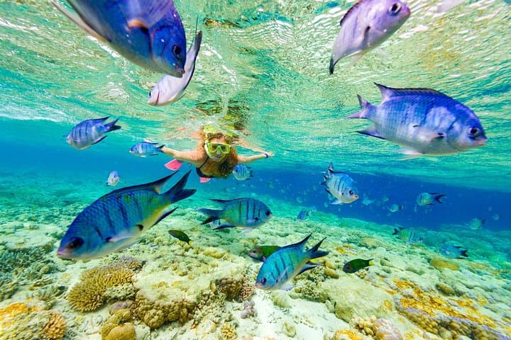 Dive Into Adventure: Snorkeling with Sharks and Rays in Punta Cana