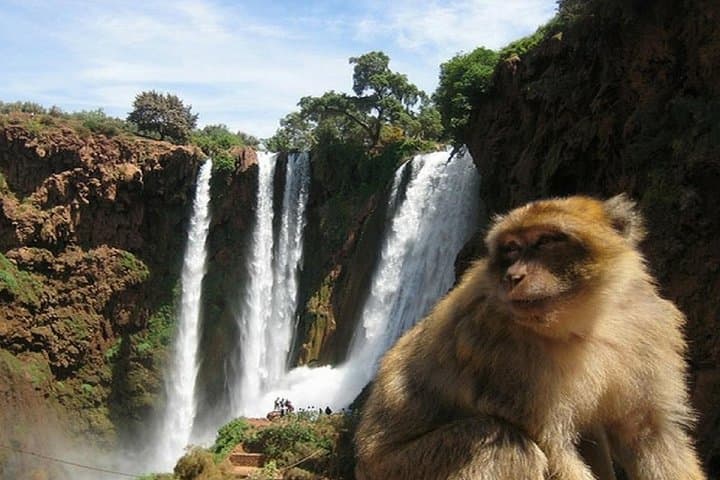 Chasing Rainbows at Ouzoud: Full-Day Waterfall Excursion from Marrakech photo 2