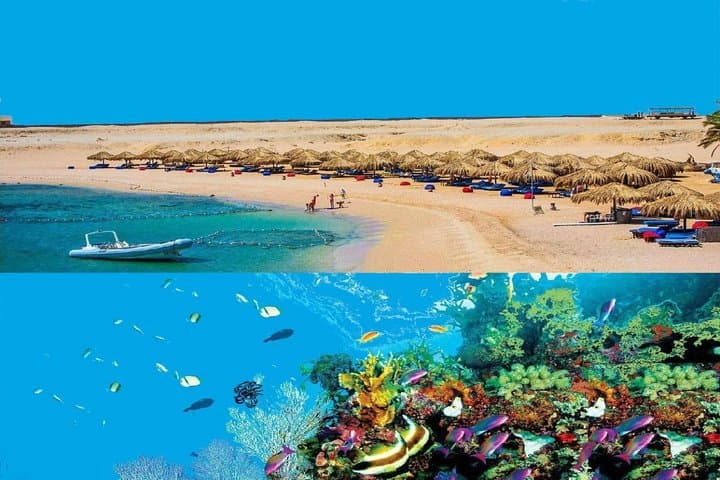 Red Sea Day Scuba Diving From Marsa Alam — Two-Tank Boat Trip to Coral Reefs photo 4