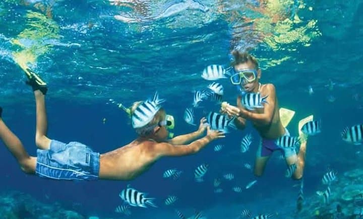 Snorkel Giftun Island: Red Sea Day Trip from Hurghada