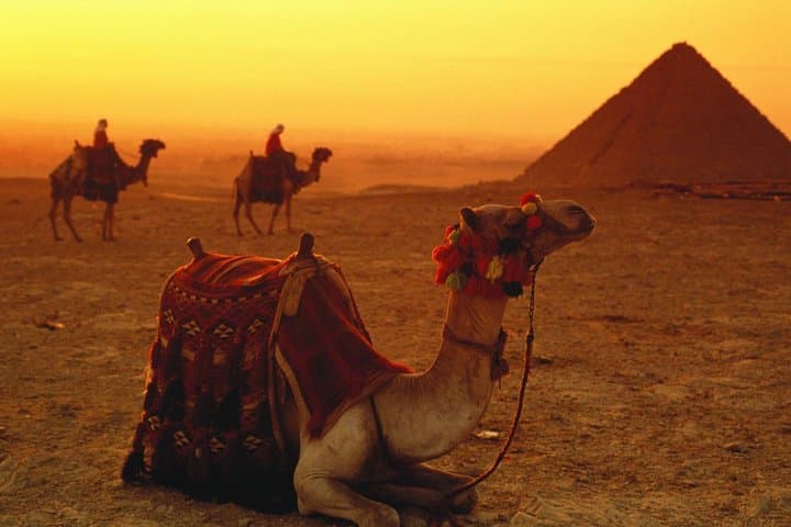 Sunset Camel Ride Around the Giza Pyramids: Bedouin Desert Experience