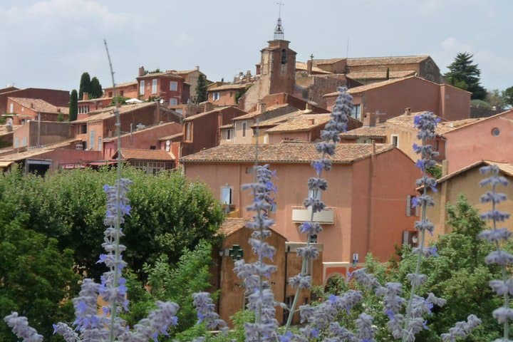 One-Day Provence Highlights from Avignon: Pont du Gard, Les Baux & Roussillon photo 3