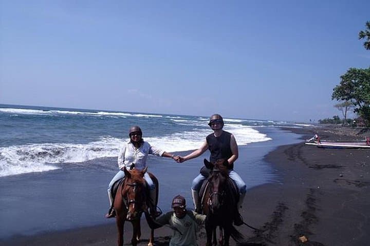 Black Sand Beach Horseback Ride and Ubud Day Tour — Beaches, Palace & Coffee photo 2