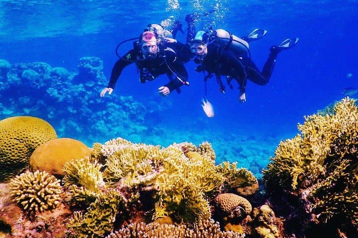 Introductory Scuba Dive on Eilat's Coral Reef — Private Instructor (25–30 min) photo 5