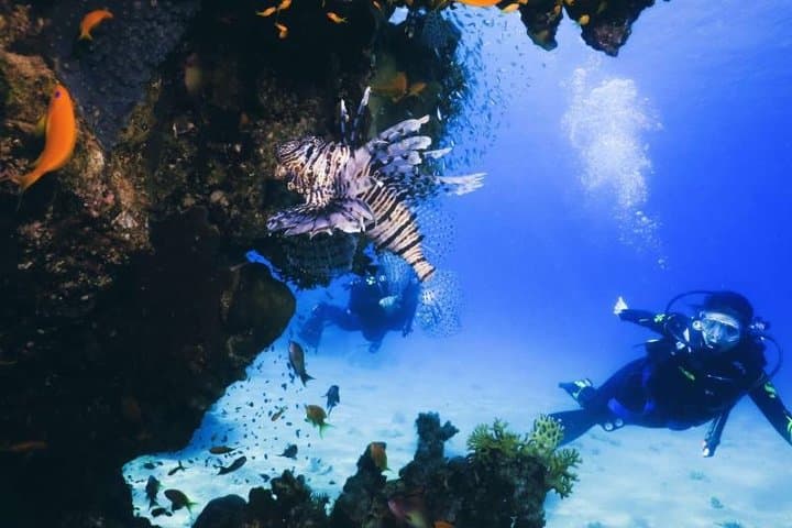Introductory Scuba Dive on Eilat's Coral Reef — Private Instructor (25–30 min) photo 6