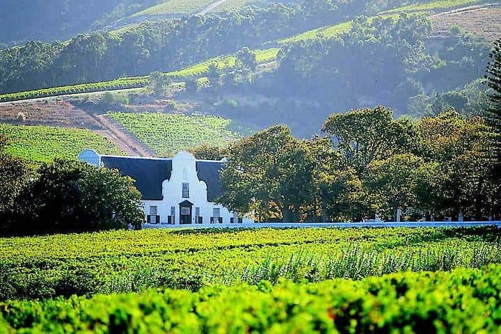 Three-Day Cape Adventure: Shark Cage Diving, Cape Peninsula & Winelands photo 5