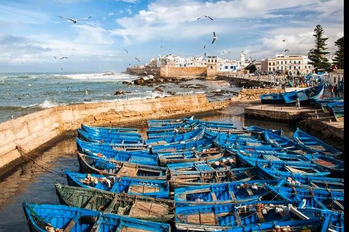 Marrakesh to Essaouira Day Trip: Coastal Medina, Argan Forests & Fresh Seafood photo 3