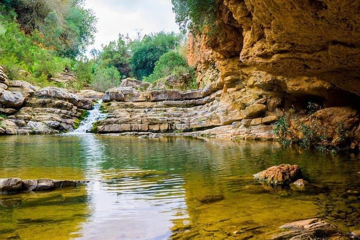 Ourika Valley Day Trip from Marrakech: Setti Fatma Waterfalls & Atlas Views photo 4