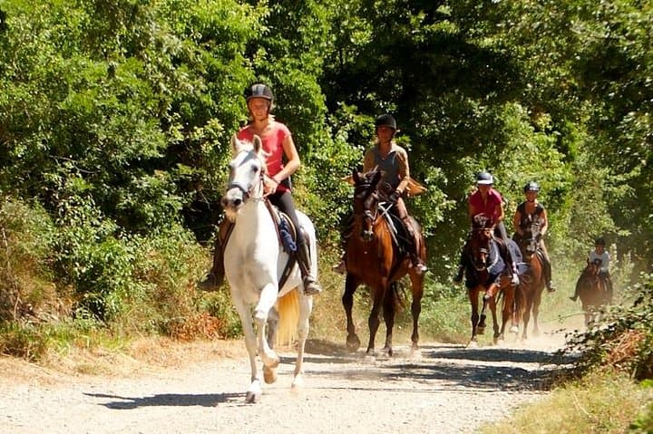 Half-Day Horseback Ride Through Tuscany’s Hills and Medieval Villages