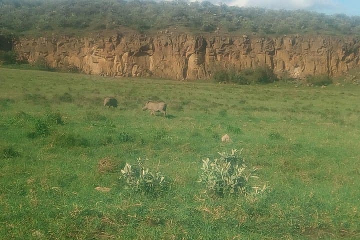 Hell's Gate Biking & Lake Naivasha Day Tour — Gorges, Geothermal Springs and Climbing photo 3