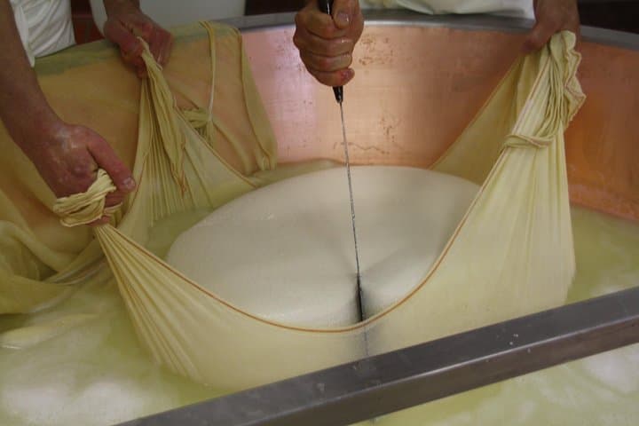 Biking and Tasting Parma: Cheese-Factory Tour and Countryside Ride