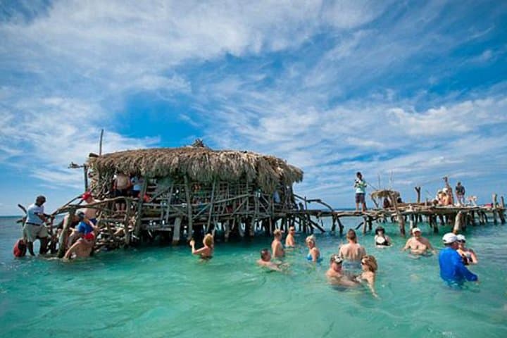 YS Falls, Pelican Bar & Reggae Horseback Swim — Full-Day Combo Tour from Negril photo 1