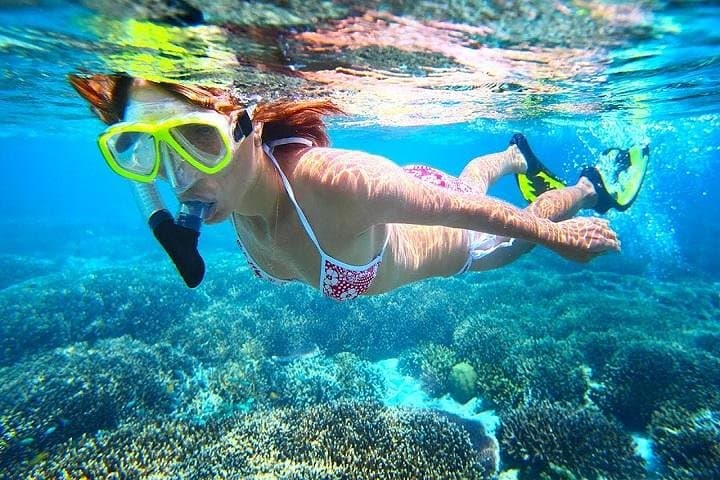 Dolphin Watching & Bandar Khiran Snorkeling Tour from Muscat photo 3
