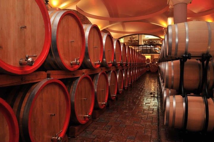 Private Wine Tour to Stobi Winery from Skopje: Tasting & Lunch in Macedonia's Vineyards
