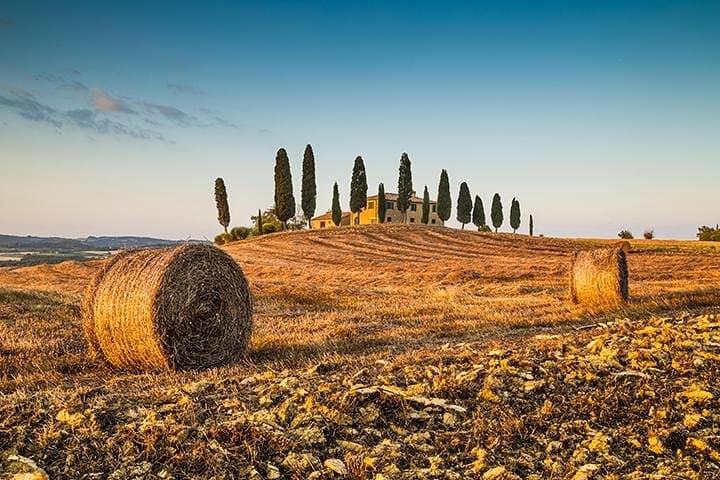 Private Chianti Wine Tasting Day Trip from Florence — Wineries, Lunch & Hilltop Village photo 1
