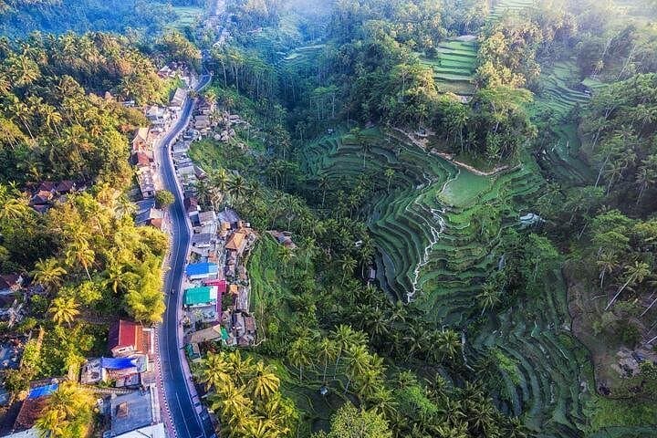 One-Day Bali Highlights: Tegenungan, Tegalalang, Batur & Bamboo Forest