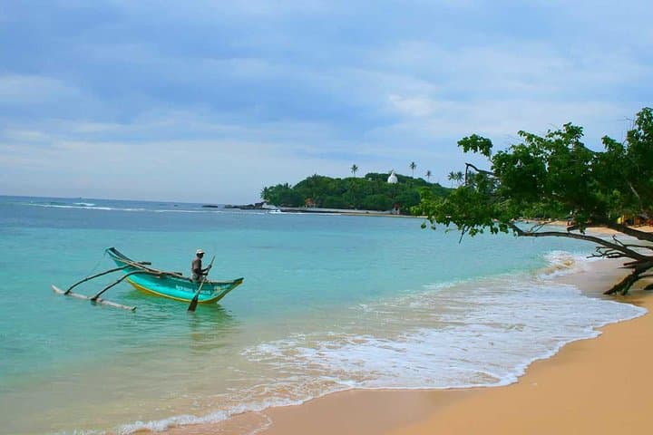 Galle Day Tour & Jungle Beach Escape from Negombo — Fort Walks, Turtle Hatchery & Calm Cove Swim photo 3