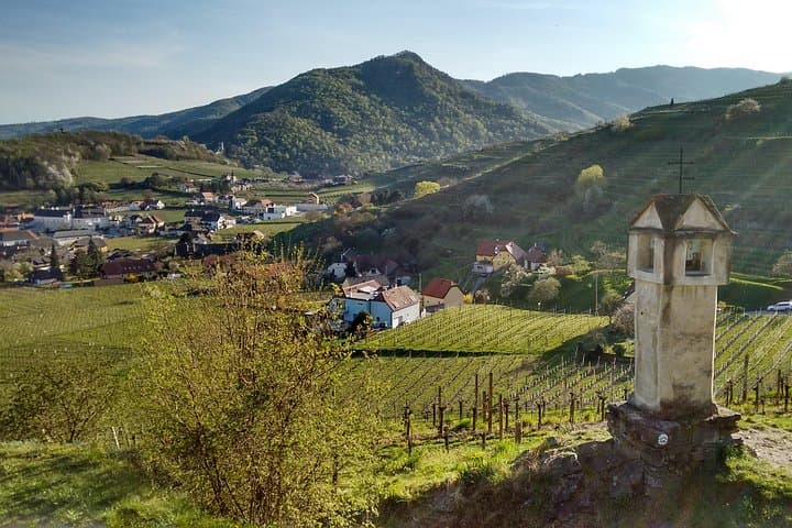 Wachau Valley Hike from Spitz: 3-Hour Beginner-Friendly Walk to Hinterhaus Ruin
